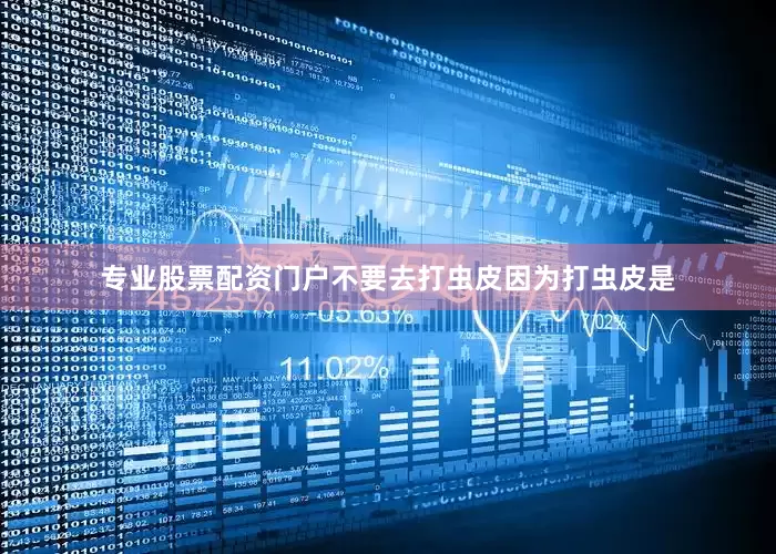 专业股票配资门户不要去打虫皮因为打虫皮是
