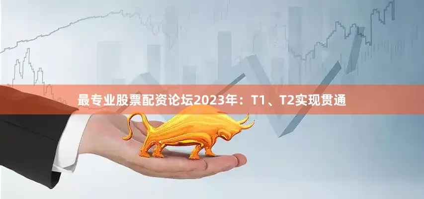 最专业股票配资论坛2023年：T1、T2实现贯通