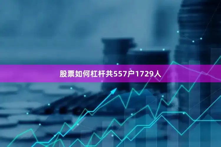 股票如何杠杆共557户1729人